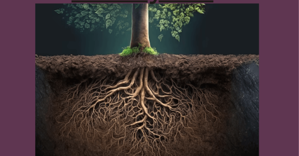 Root vs Route: Meaning, Pronunciation, and Usage