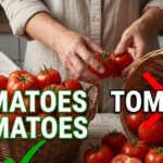 Tomatoes or Tomatos? Correct Spelling Explained