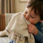 Blanky or Blankie: Meaning, Spelling, and Usage Explained