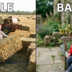 Bale vs Bawl: Meaning, Difference, and Usage