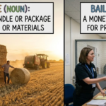 Bale vs Bail: Meaning, Differences & Examples