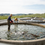 Fishery Images