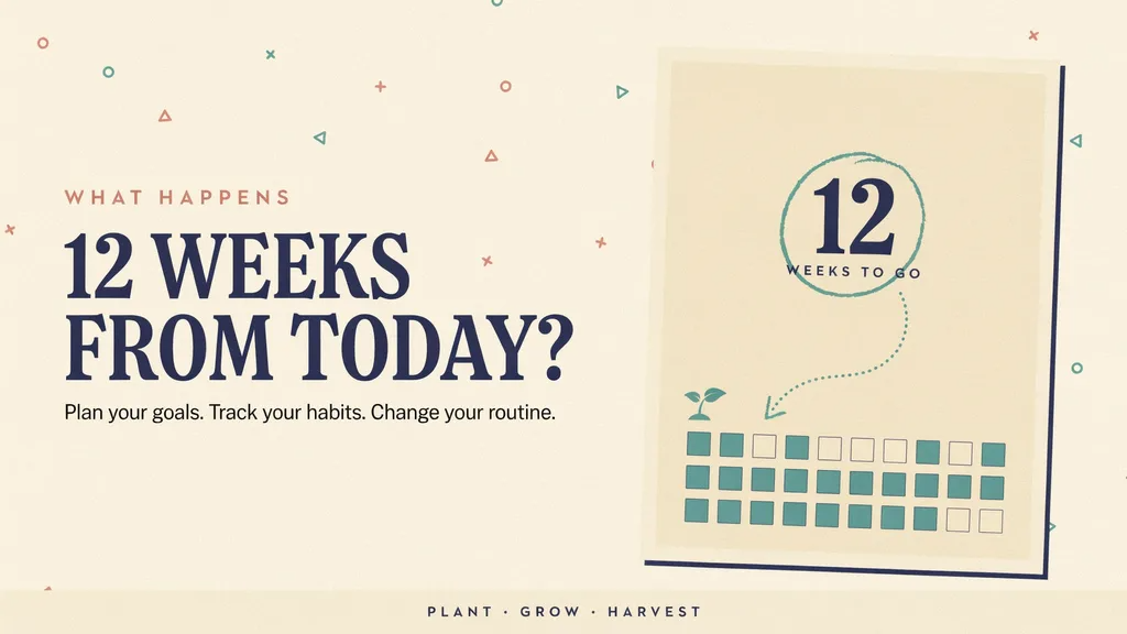 12 weeks from today